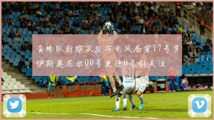 黄蜂队新球衣发布电风扇穿17号罗伊斯奥尼尔00号里德0号引关注