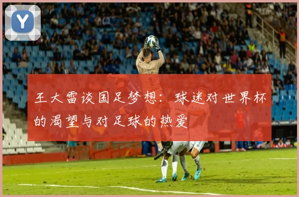 王大雷谈国足梦想：球迷对世界杯的渴望与对足球的热爱