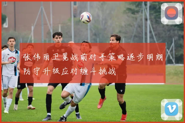张伟丽卫冕战前对手策略逐步明朗防守升级应对缠斗挑战