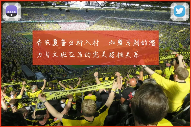 香农夏普分析八村塁加盟马刺的潜力与文班亚马的完美搭档关系